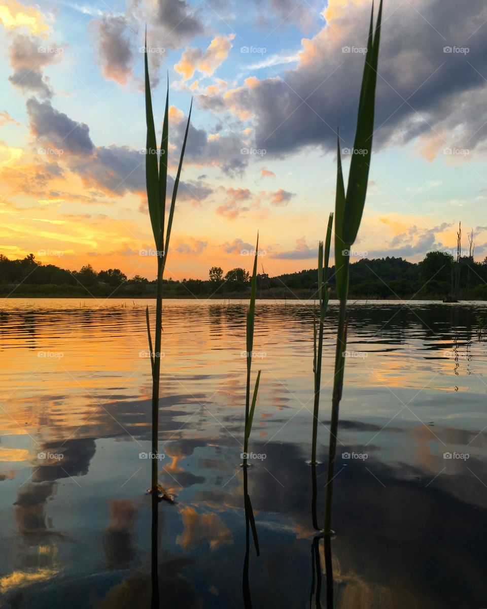 Sunset on the water