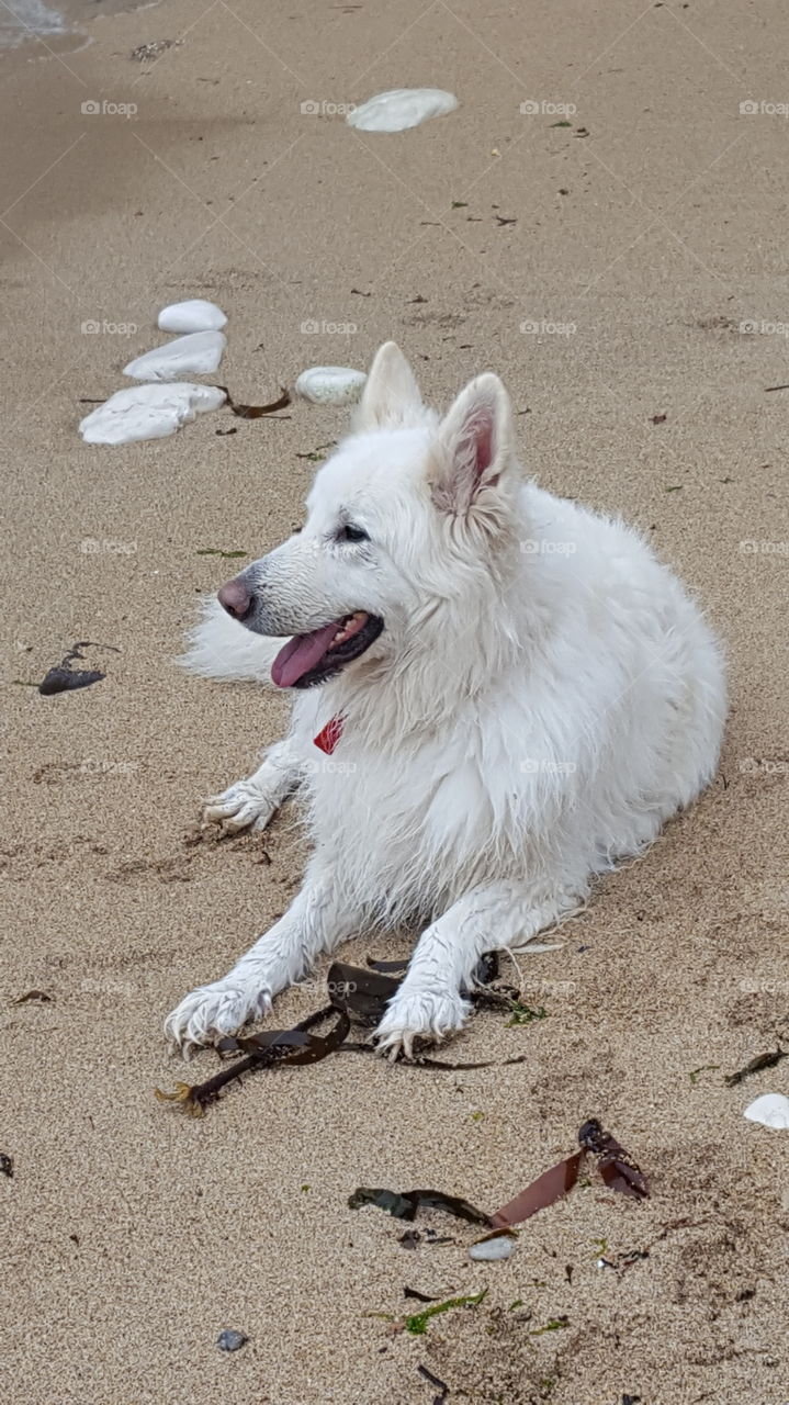 sky on the beach