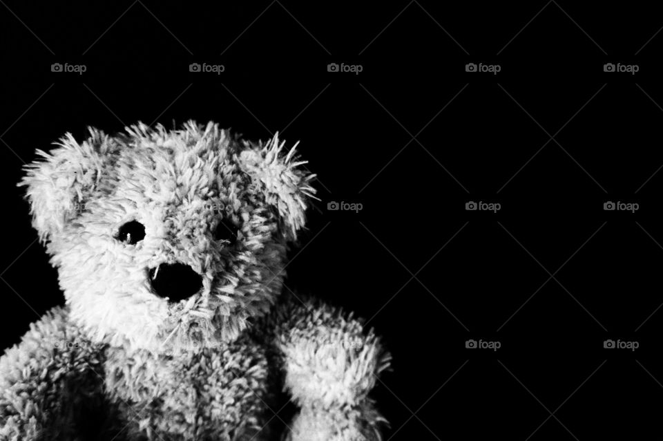 Black and white teddy bear on black background 