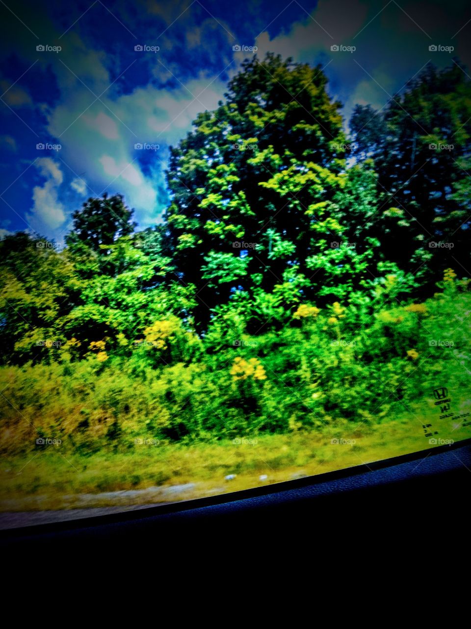 Beautiful scenery on the side of the interstate.