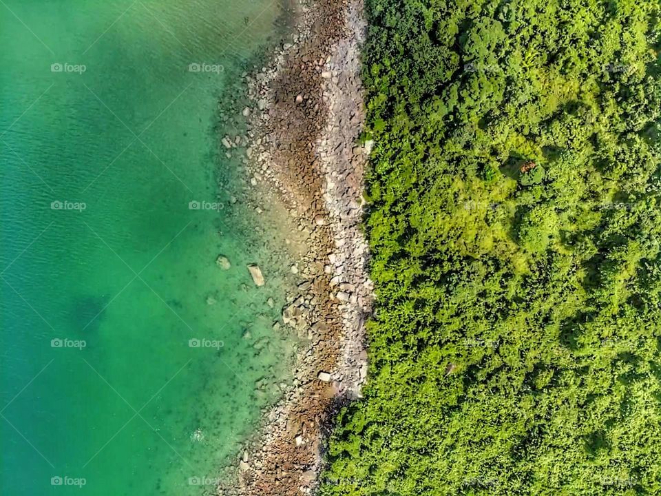 Water and Tree - Summer and Spring