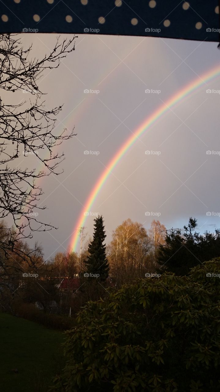 strong colours from rainbow on a dark sky