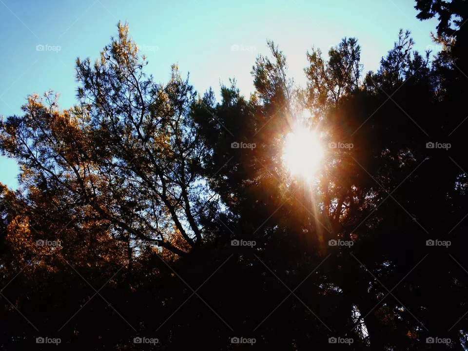 sunshine