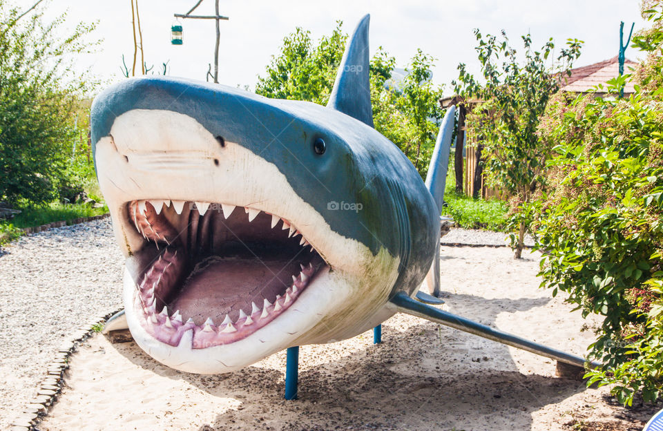 Shark big plastic model