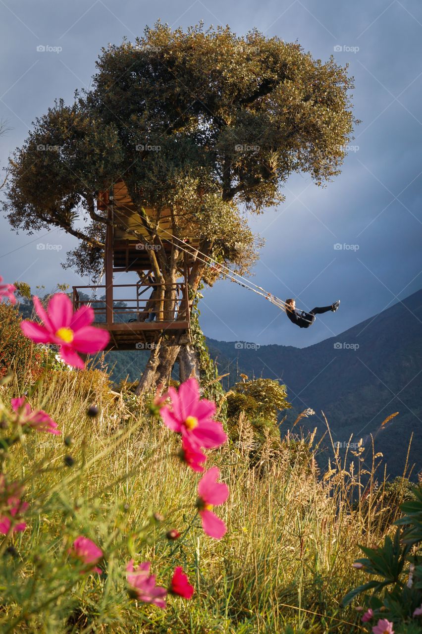 A tree house with the greatest swing ever