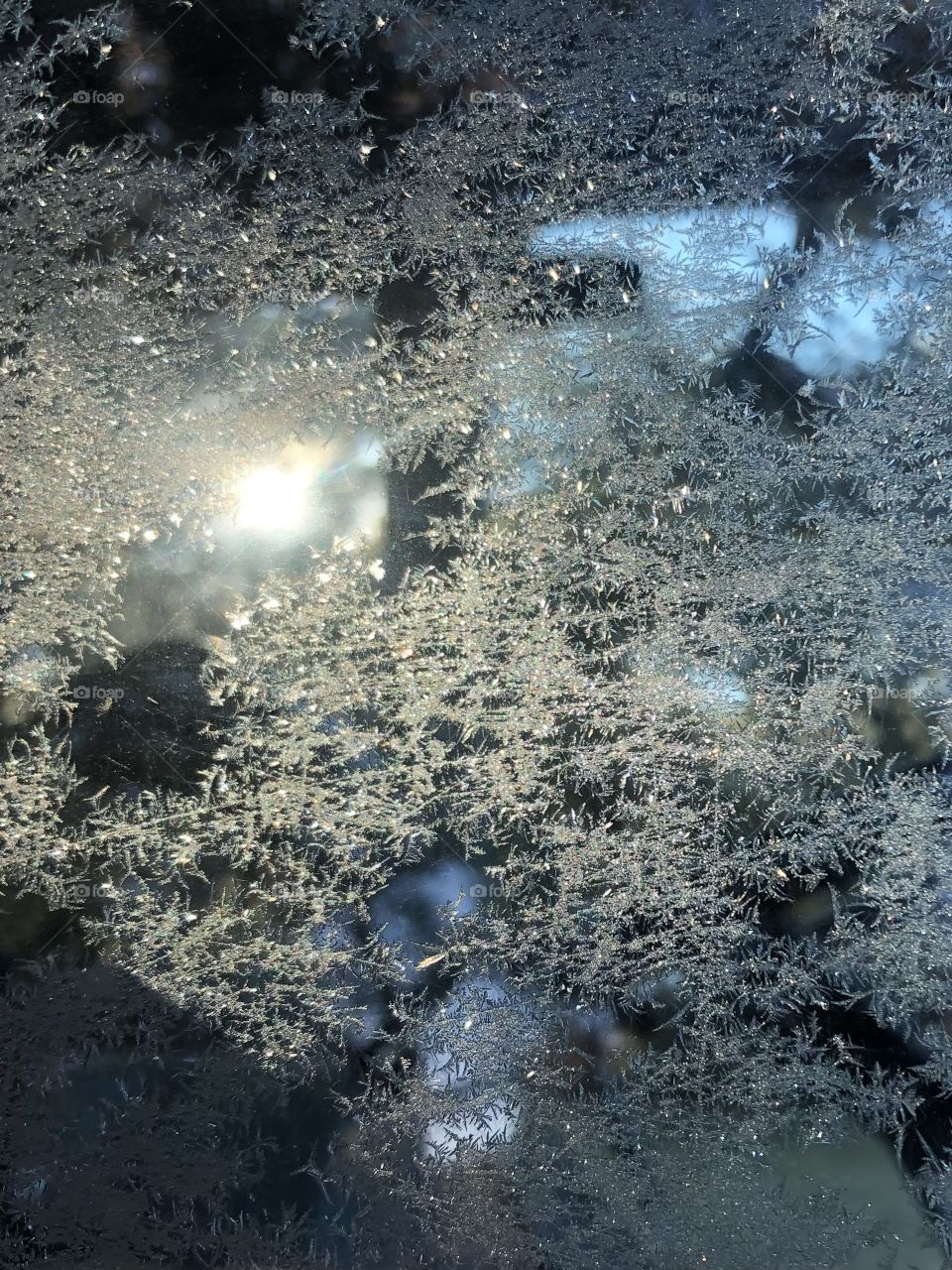 More frost in the morning from the cold in Texas. Tractor window, but he sun shines through ☀️