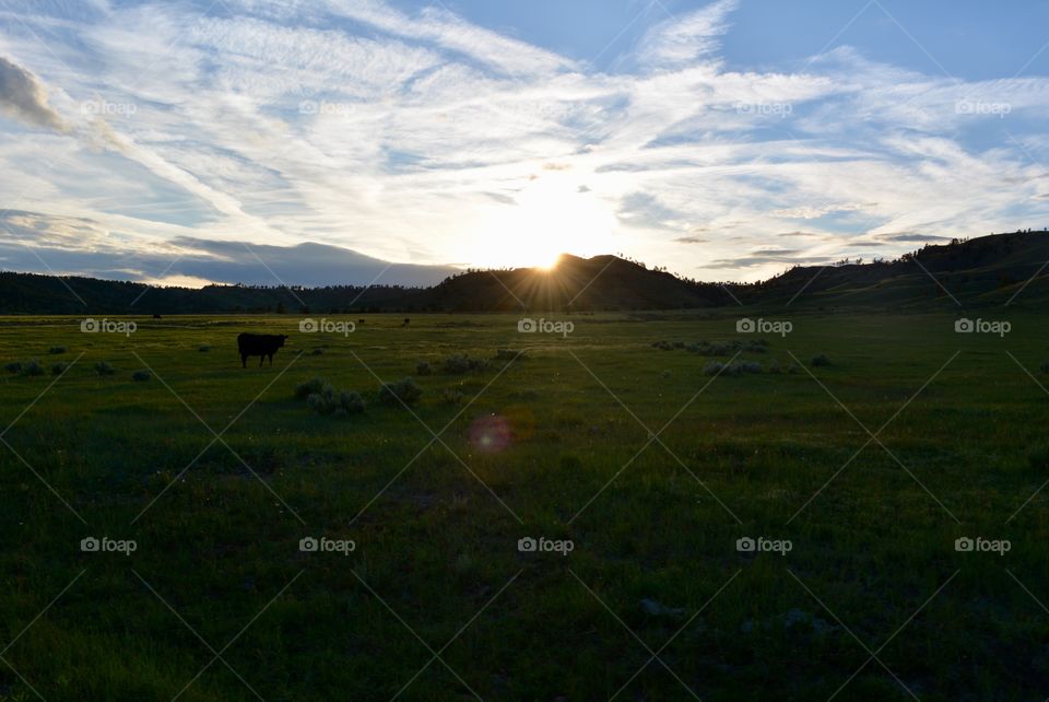 Landscape, Sunset, Grass, Grassland, No Person