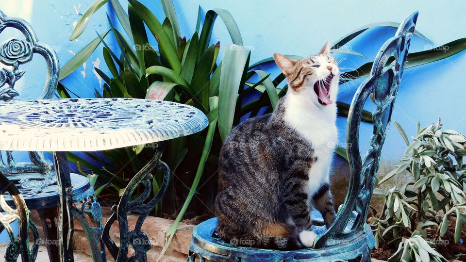 Hora  de la siesta