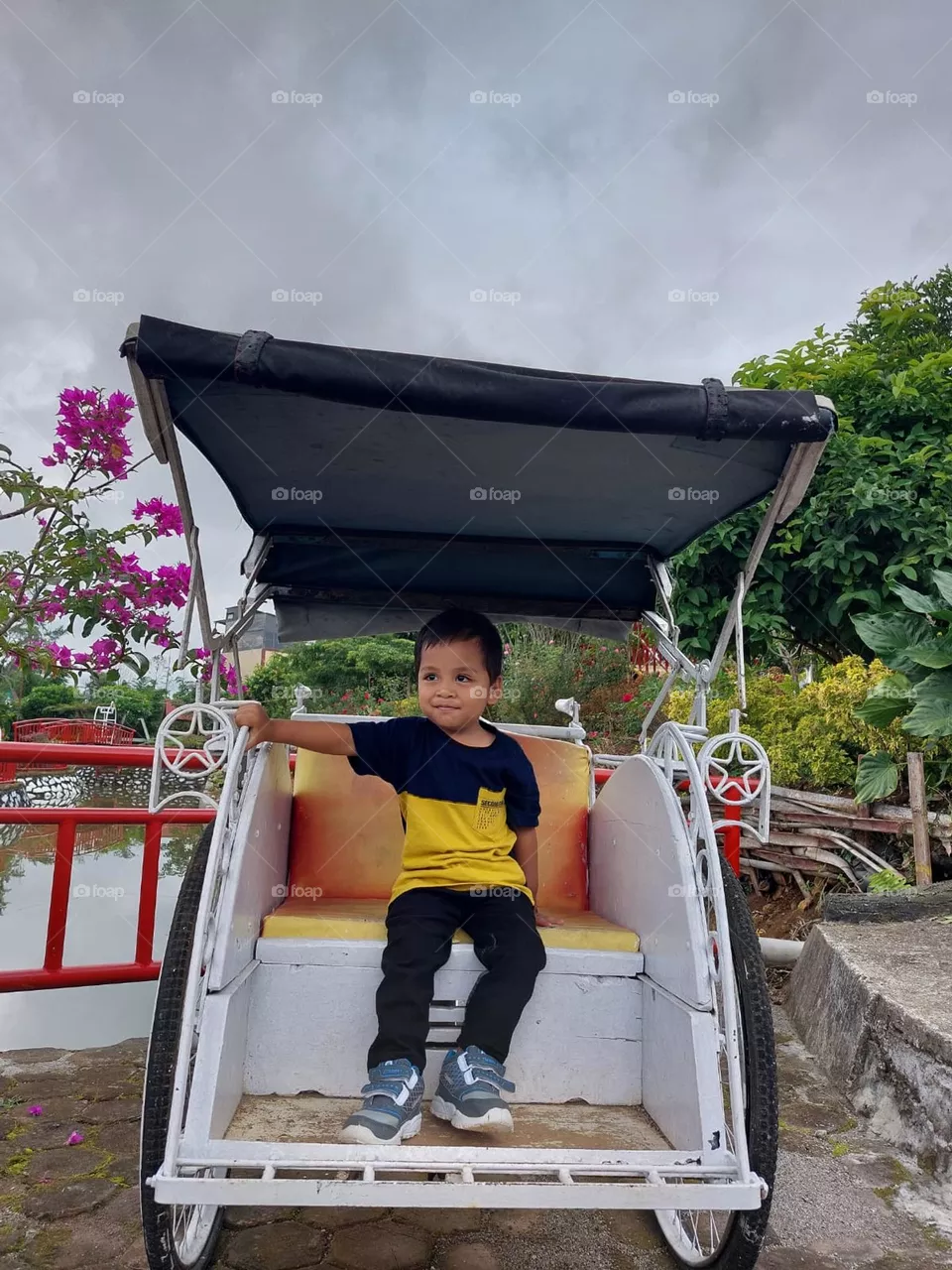 Faiz the picture