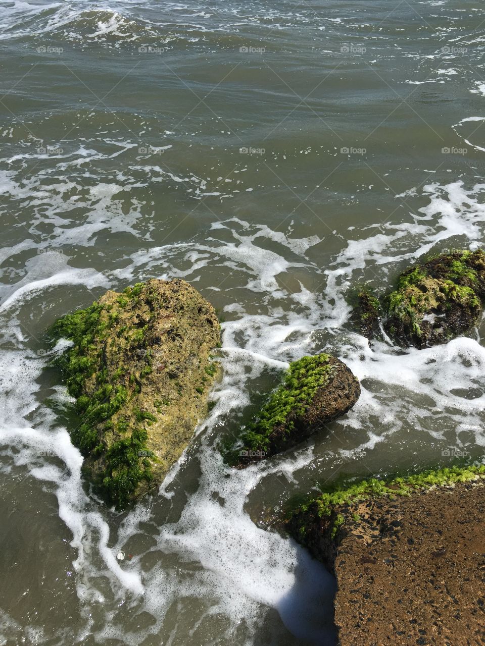 Sea rocks 