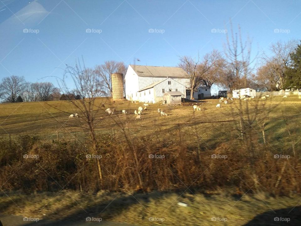 Countryside scenic route