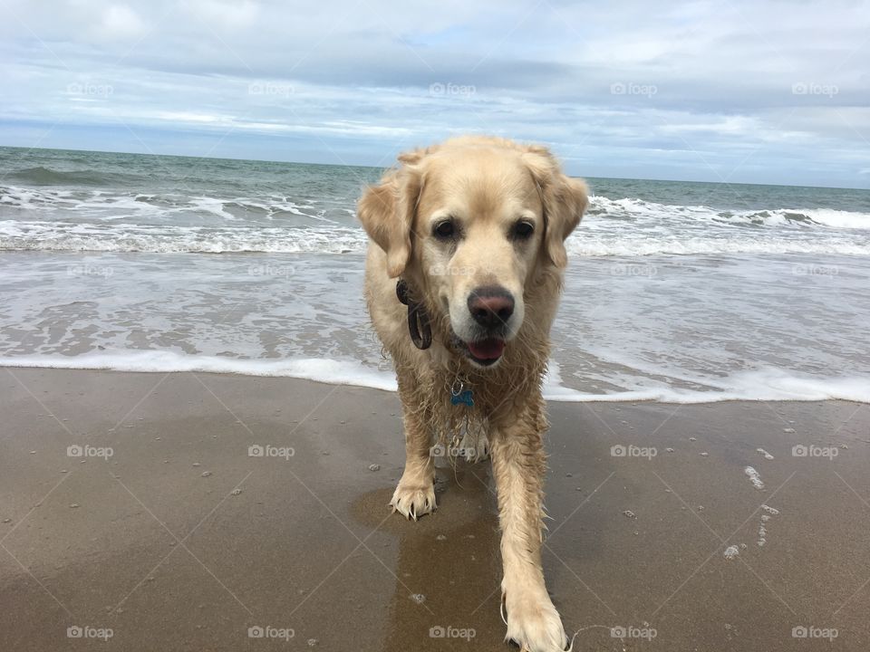 Beach, Sea, Water, Sand, Ocean