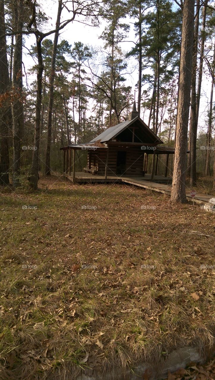 A place in the woods.