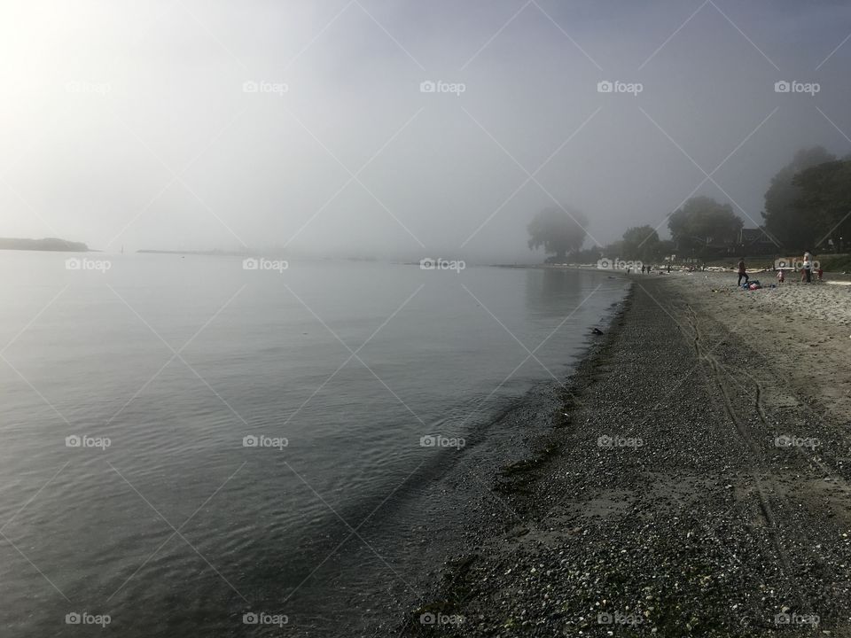 The ocean and the fog 