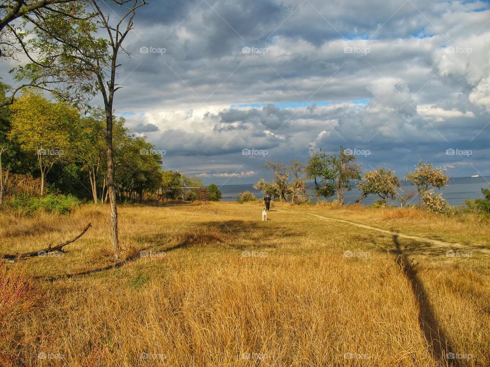 landscape man dog пейзаж человек собака