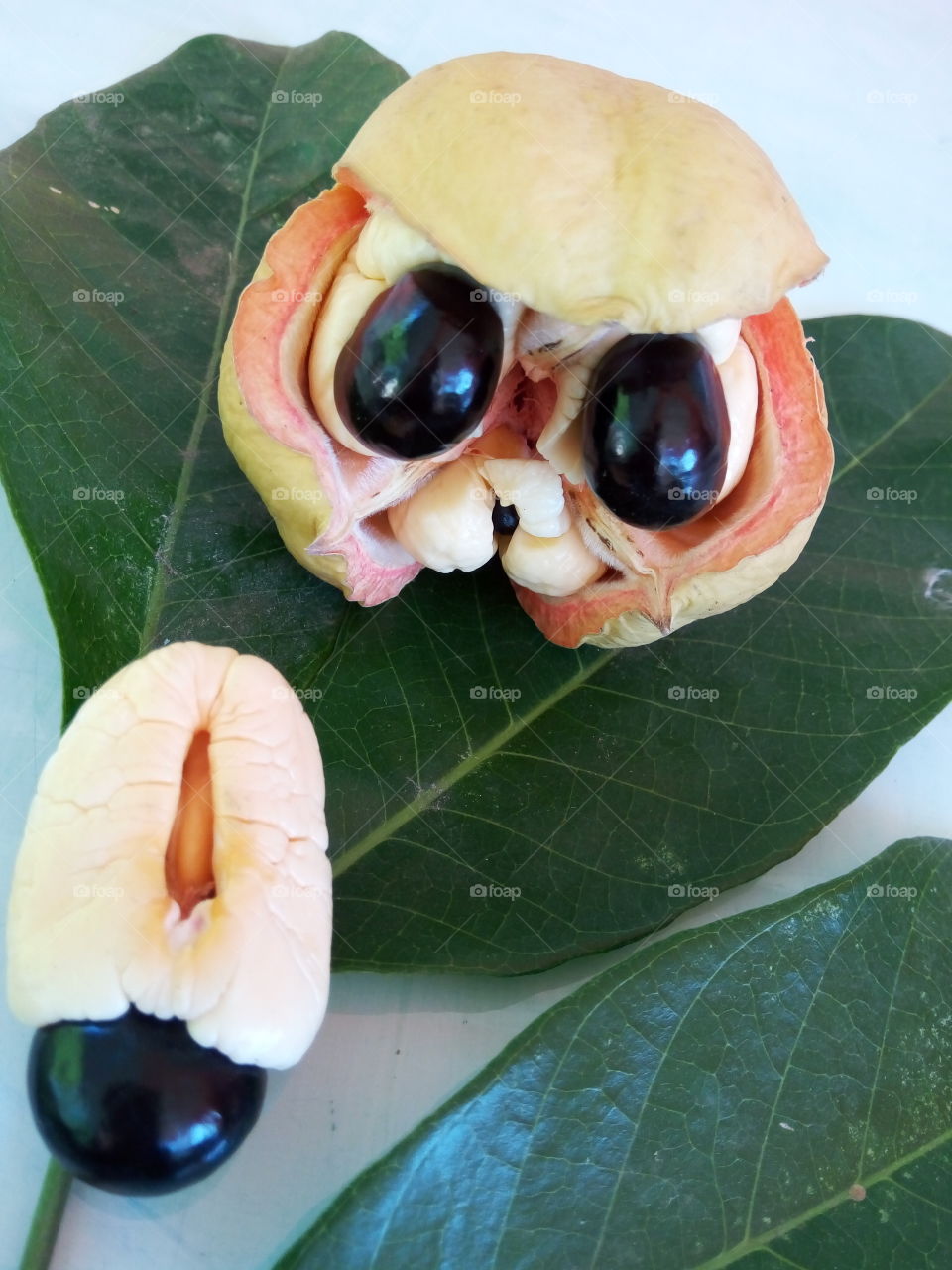 ackee
