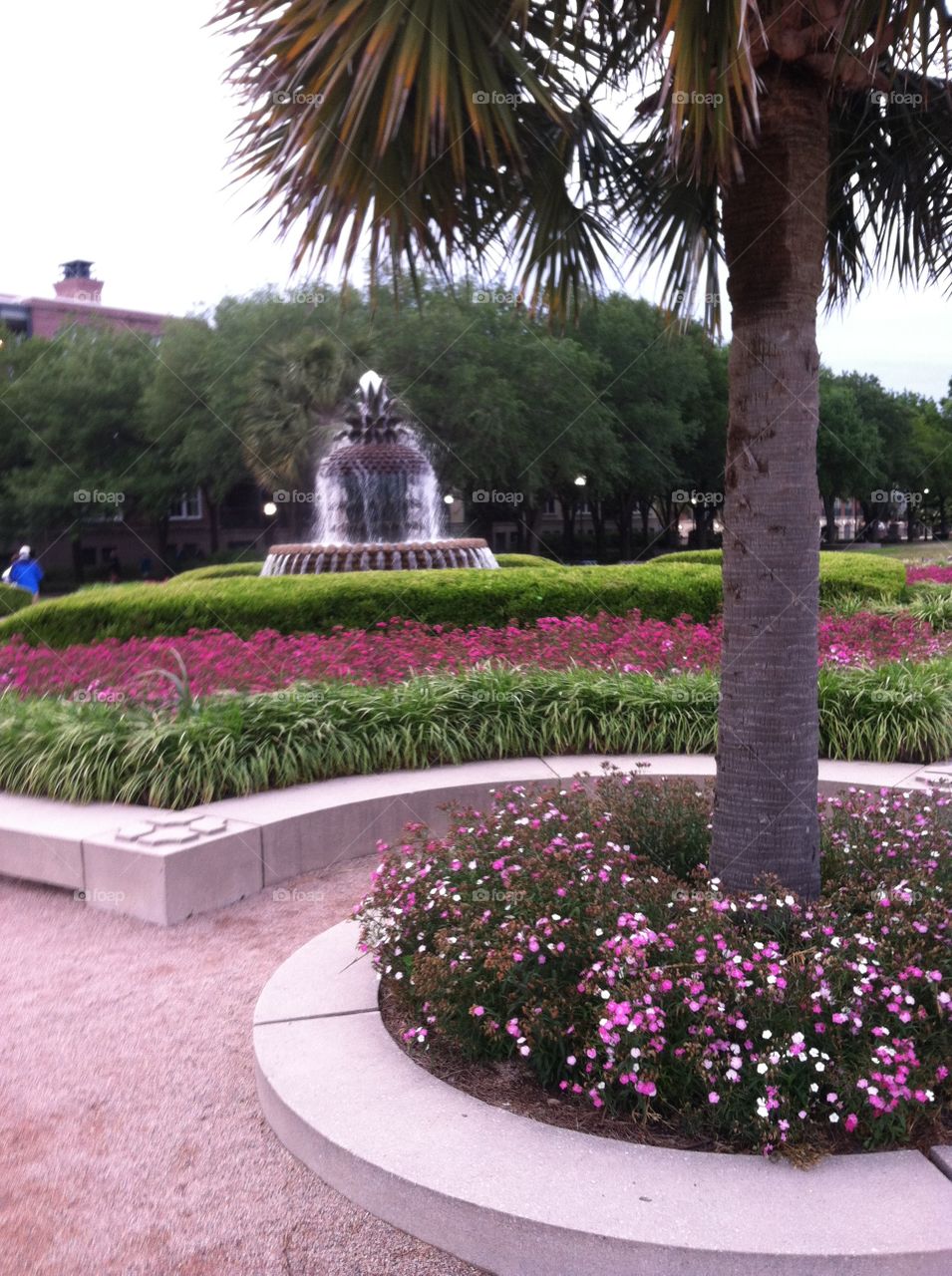 Charleston fountain. Charleston sc fountain on the boardwalk 