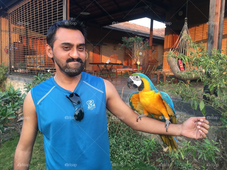 Holding a Blue & Yellow Macaw