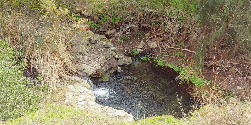 Serene waterfall pond in Alum Rock California.