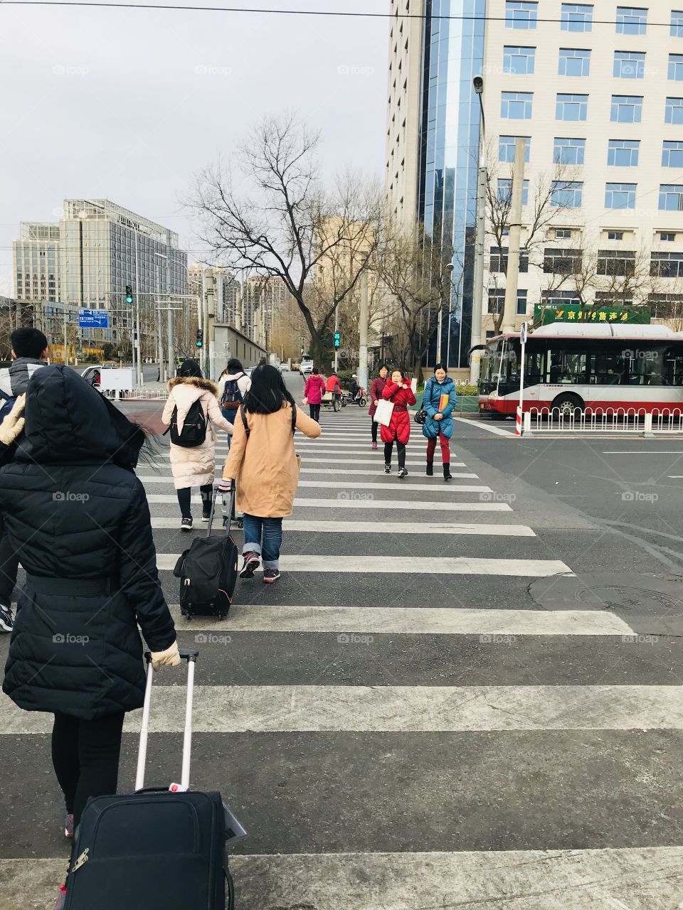Crossing the road 