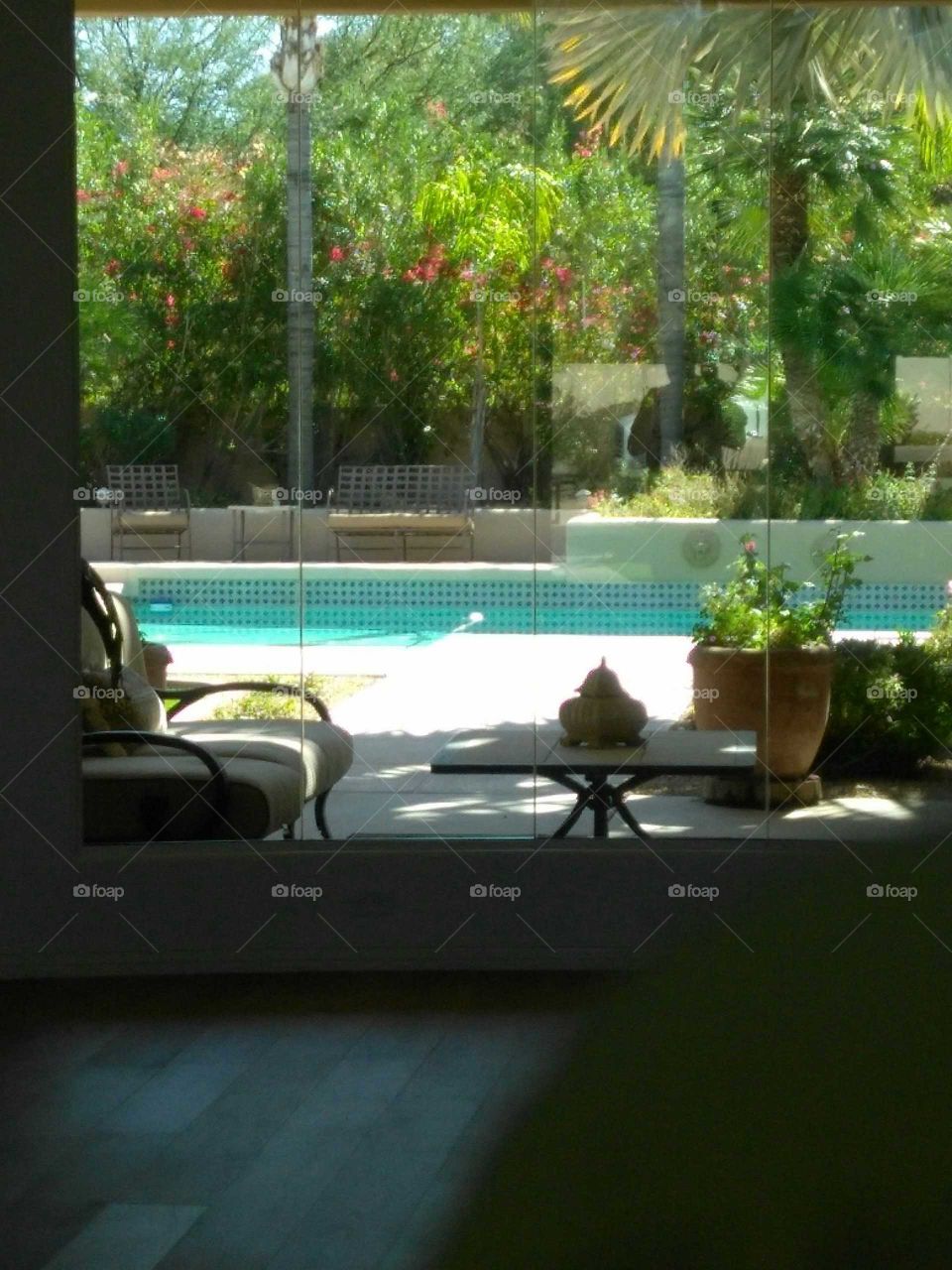 pool in backyard