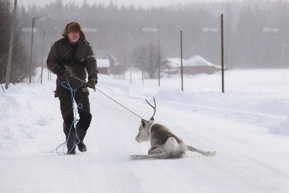 old man with reindeer