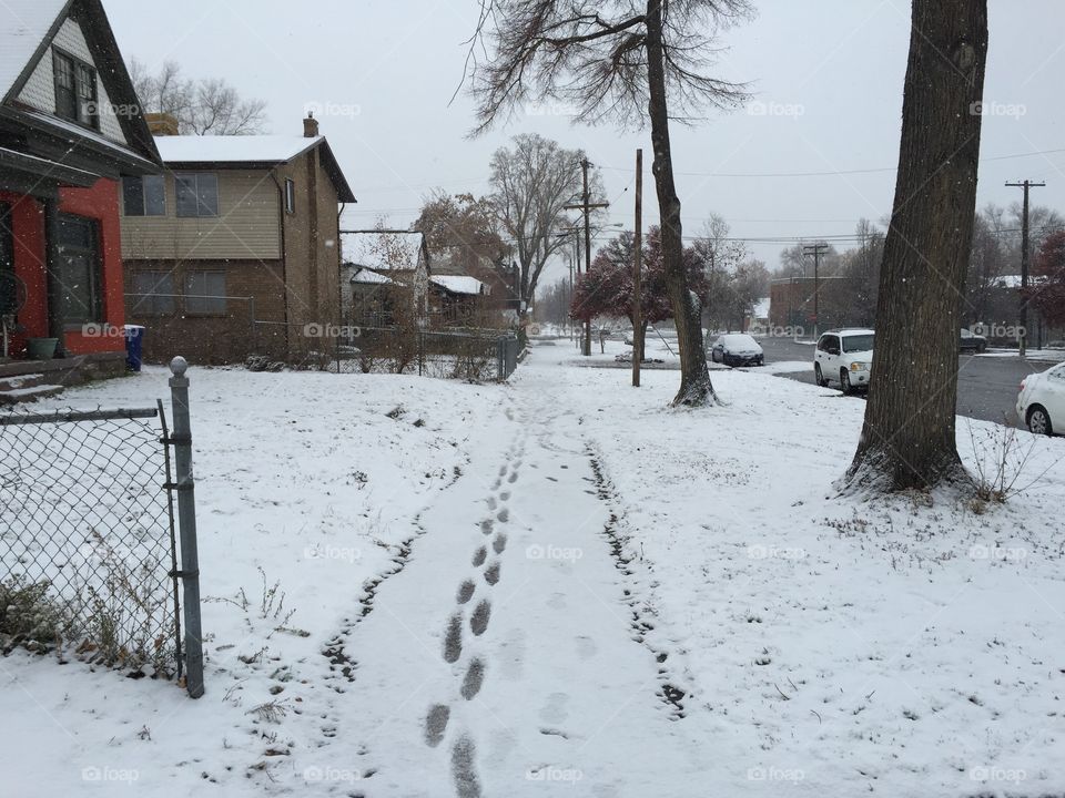 Neighborhood in Sat Lake City Utah during winter. Recent snowfall with footprints on a sidewalk.
