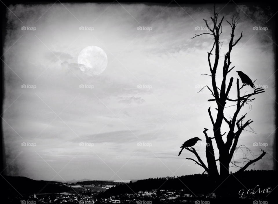 sky tree clouds trees by gaguling