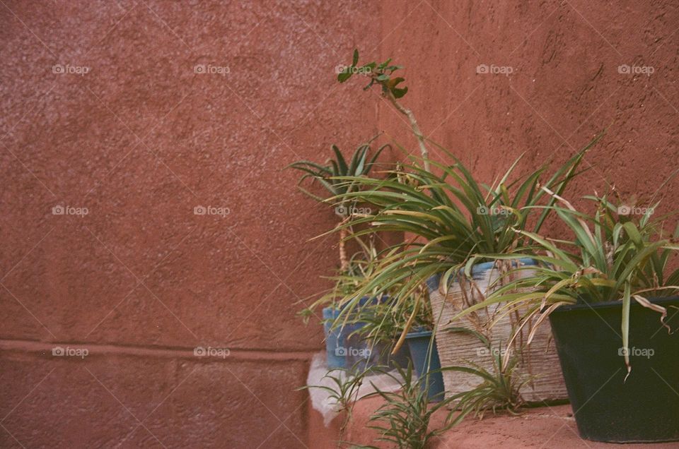 Hiding behind the Moroccan building