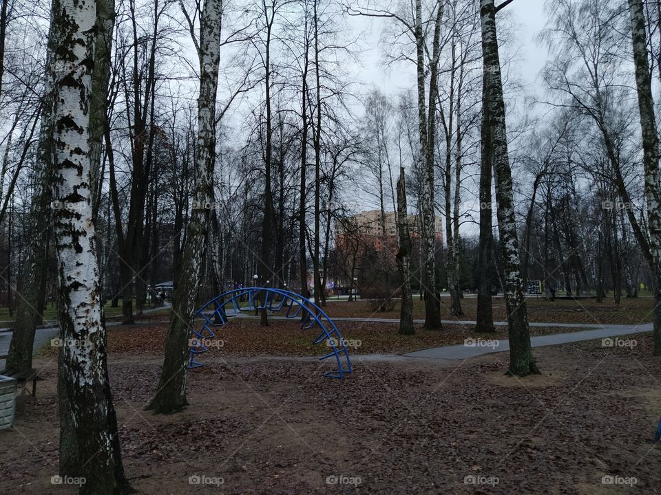 Осень , прогулки по Московскому парку