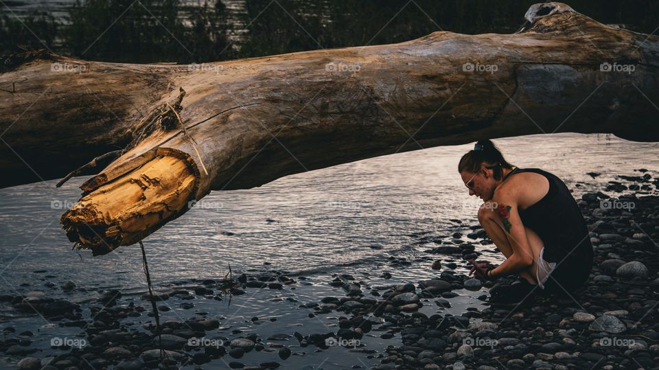 Rock hunting underneath a log.