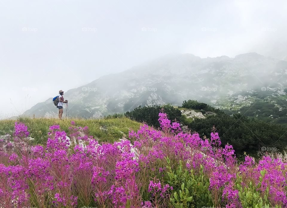 Hiking on foggy mountain with beautiful flowers and scenery 