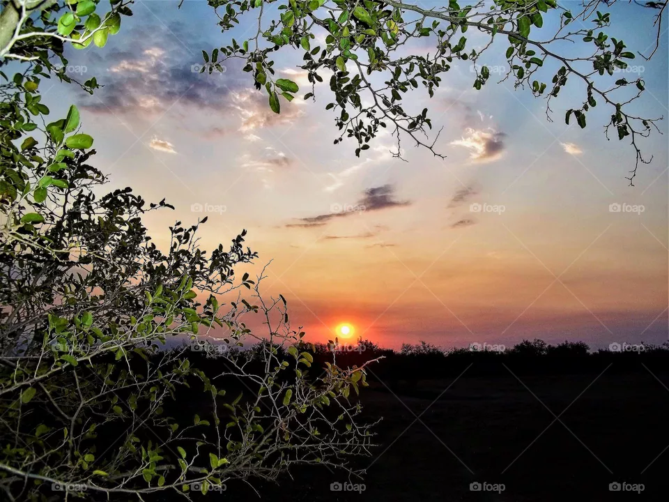 Ocaso