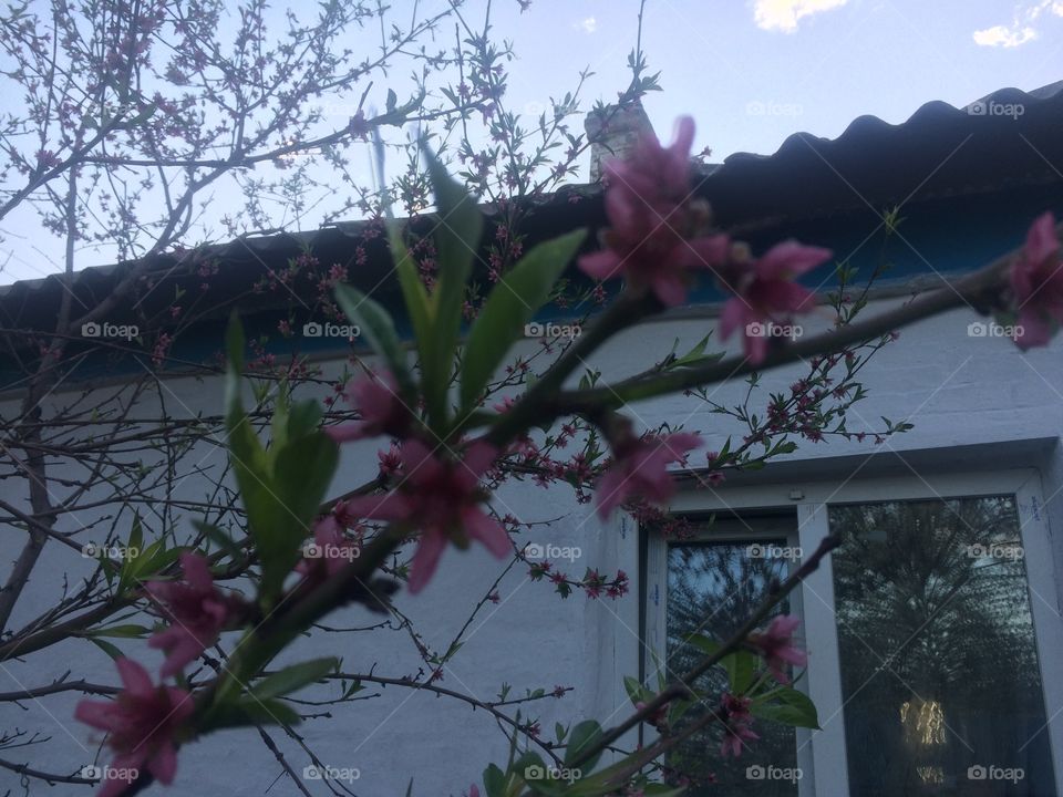 Весна пришла