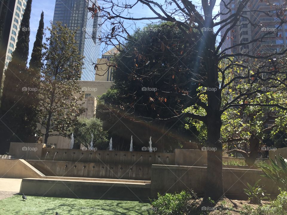 Tree, No Person, Park, Building, Architecture