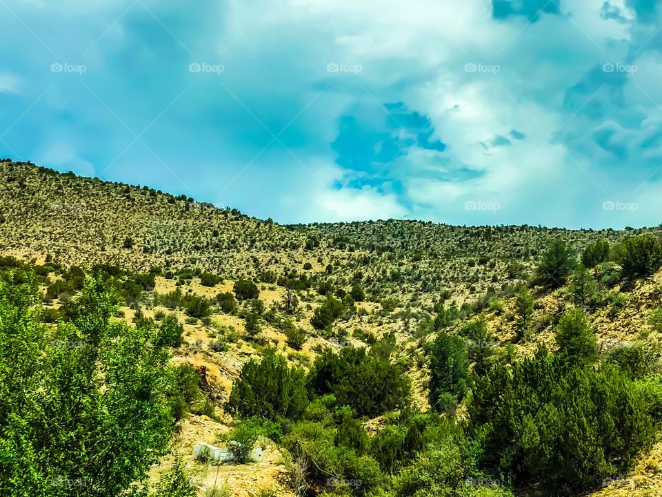 Clouds over Bushy Field