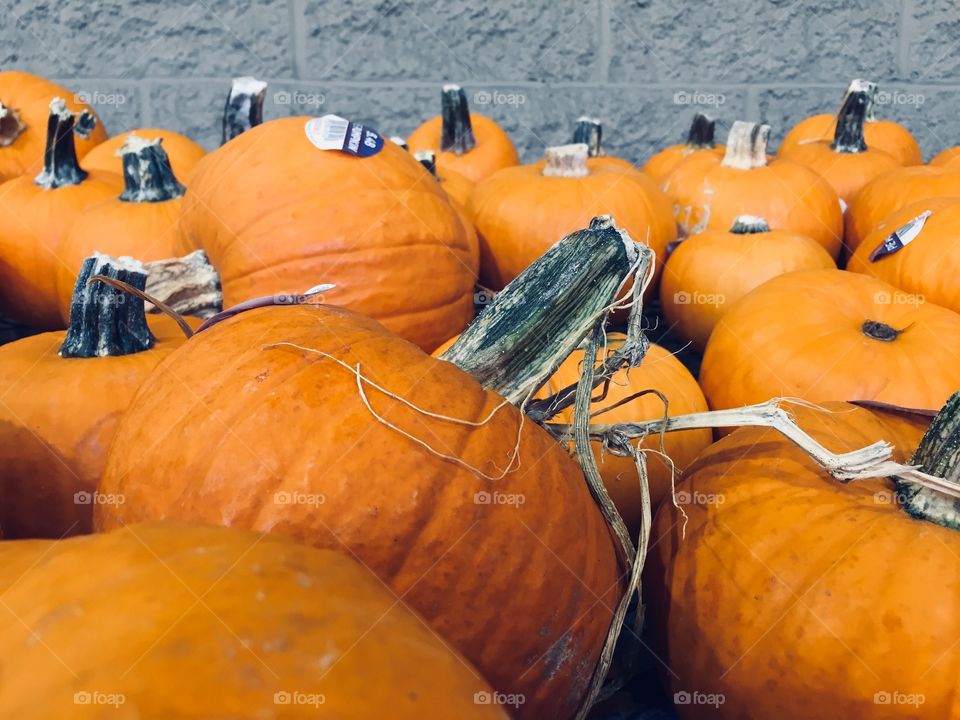 Pumpkins