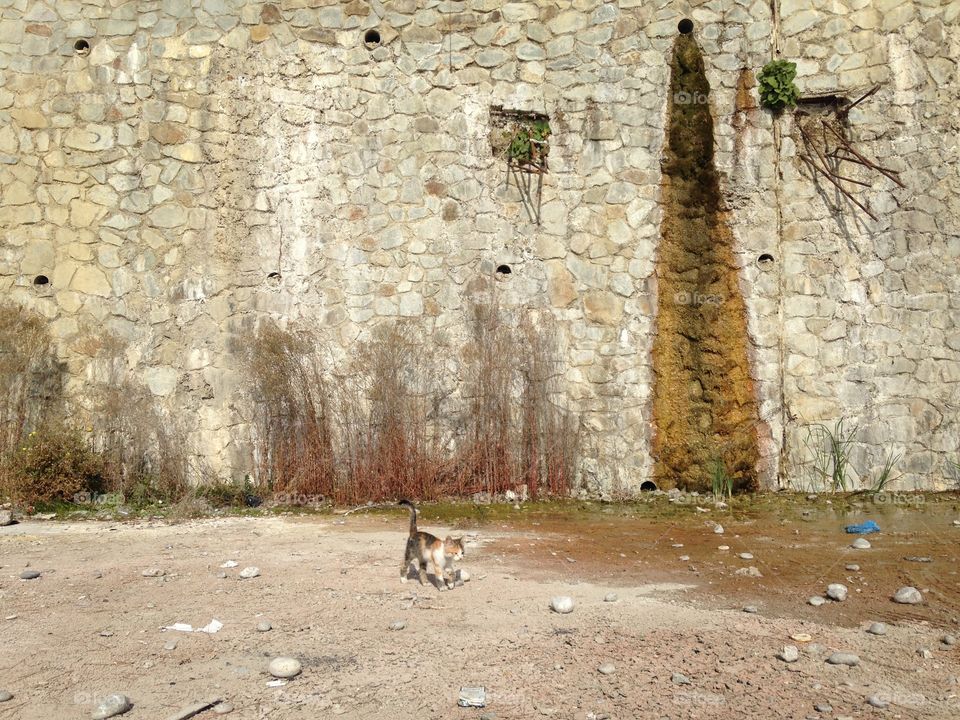 Old, Wall, No Person, Architecture, Stone