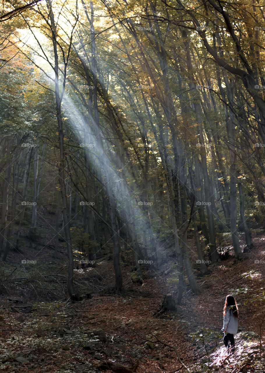 Magical sunlight in the forest on the woman