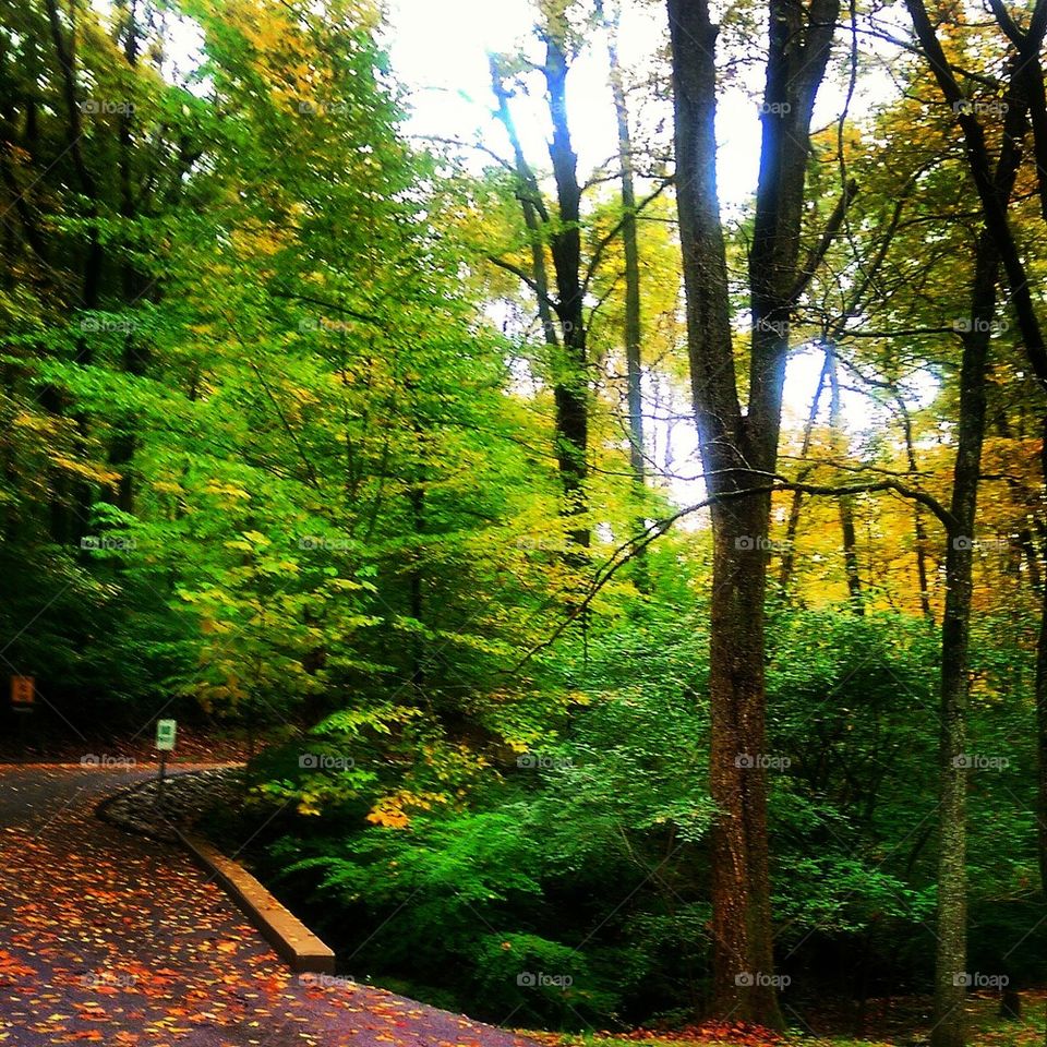 Autumn in Kentucky 