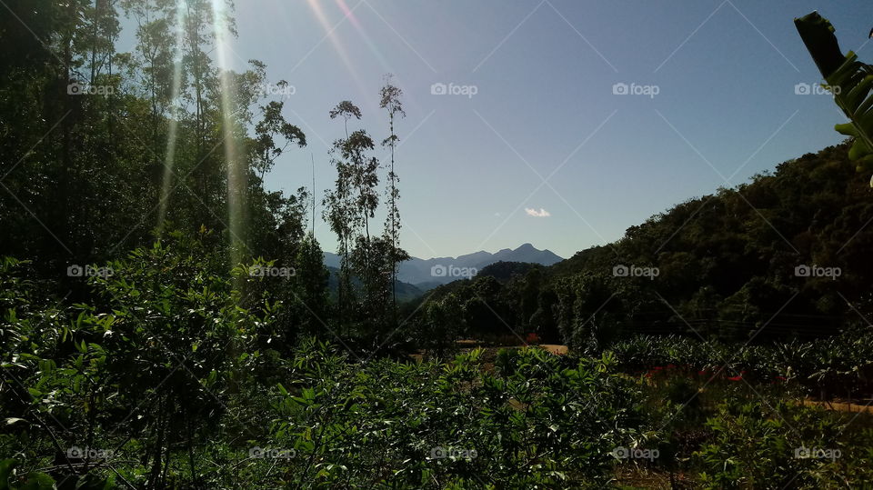 HÄPPCHEN Sonniges Tal