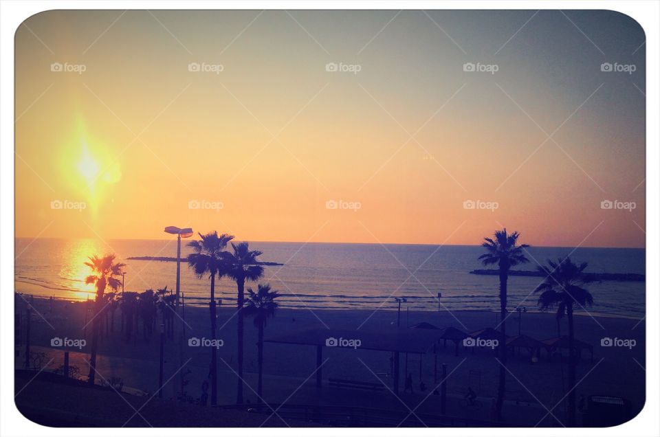 Sunset Scenes: Tel Aviv, Italy