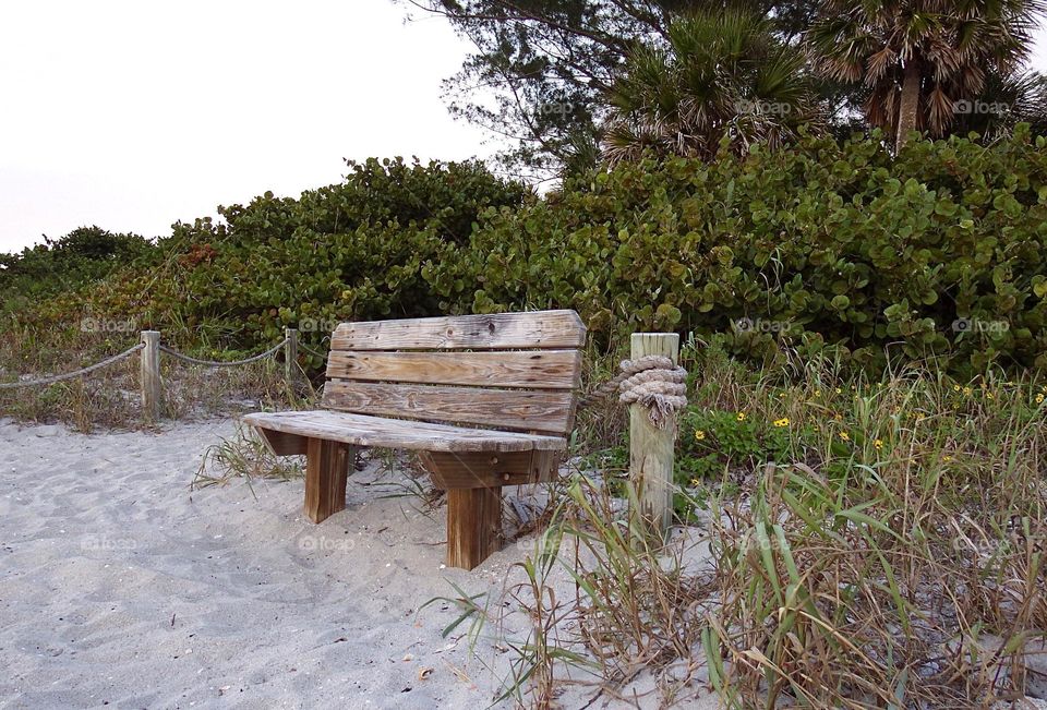 Scenic wooden bench on a pristine beach.
