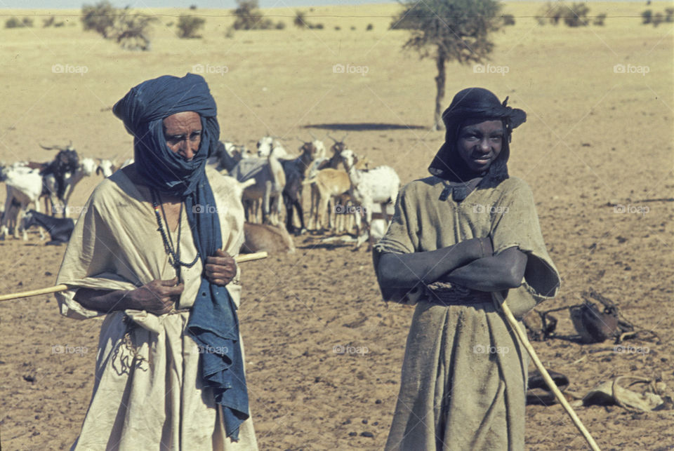 Two men standing near herd of goats