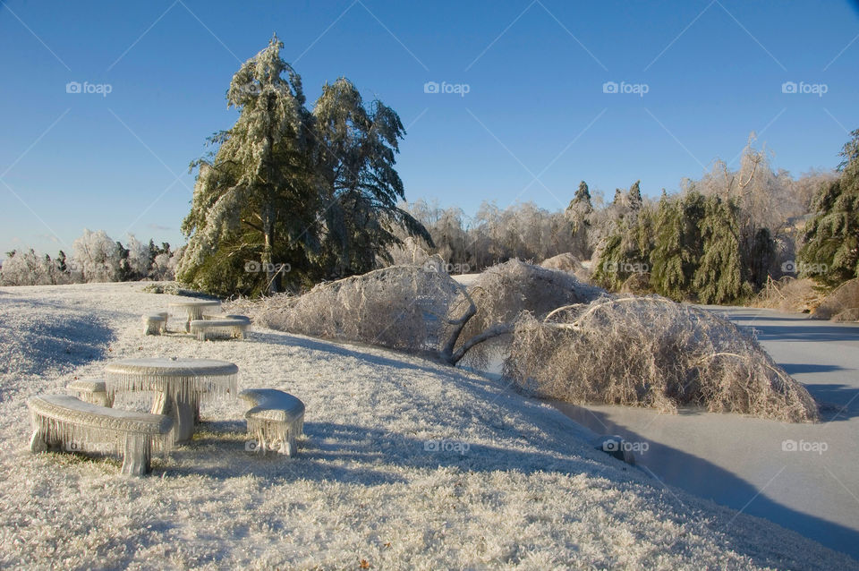 And ice encased landscape after an ice storm