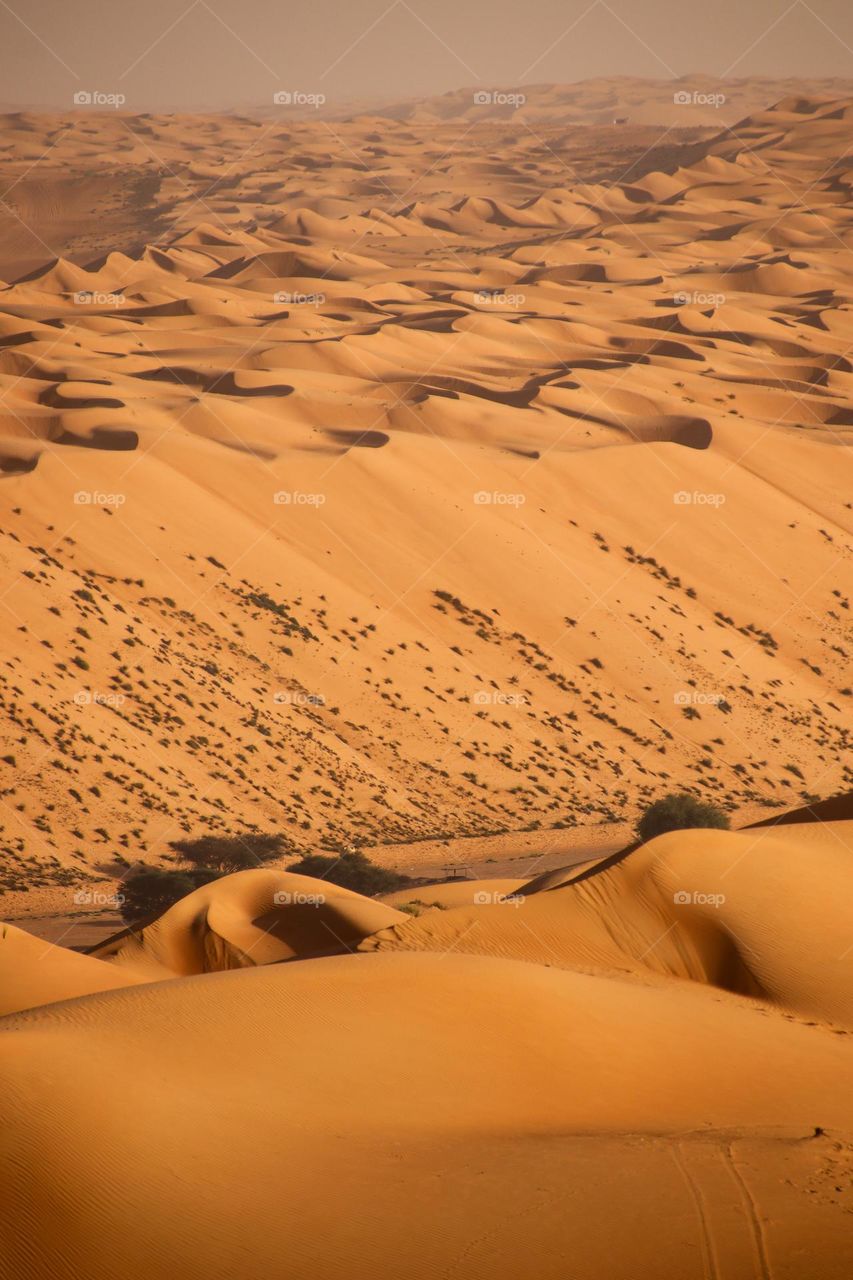 The colours of the desert