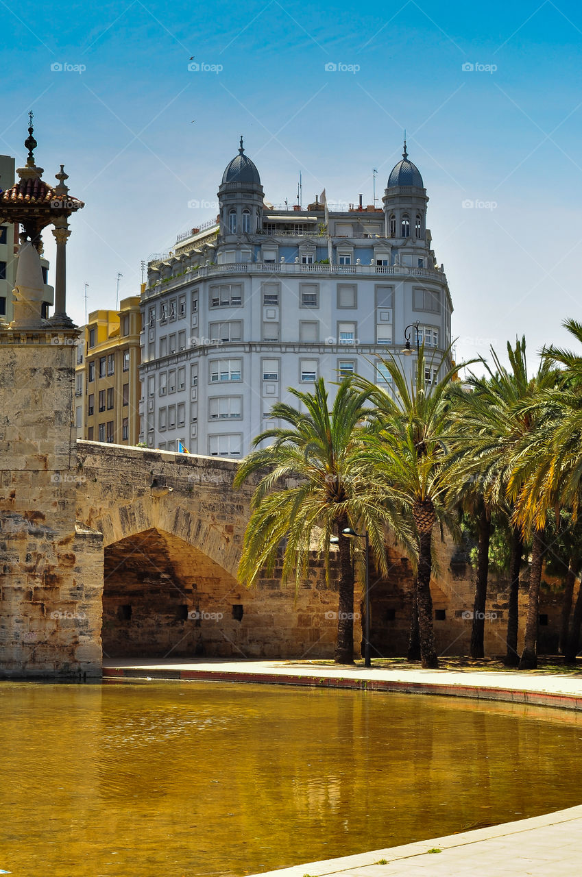 Part of the Central Park in Valencia and building behind 