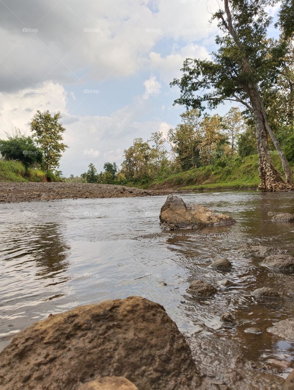 natural beauty of river