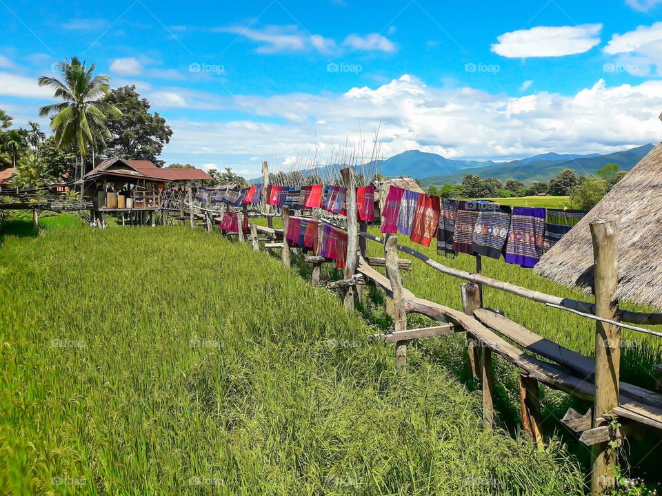 Boardwalk on the rice paddies of the coffee shop is a place where tourist PUA district, Nan province