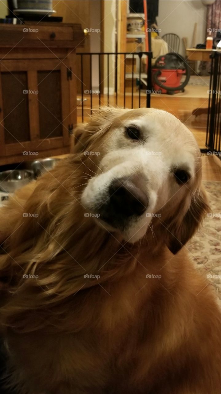 Old Man Tucker